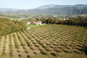 Vue-drone-carte-Noyeraie